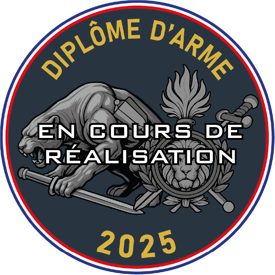 Écusson DA MIP 2025 ( PRÉCOMMANDE)