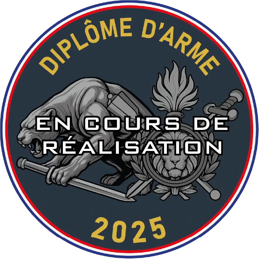 Écusson DA MIP 2025 ( PRÉCOMMANDE)